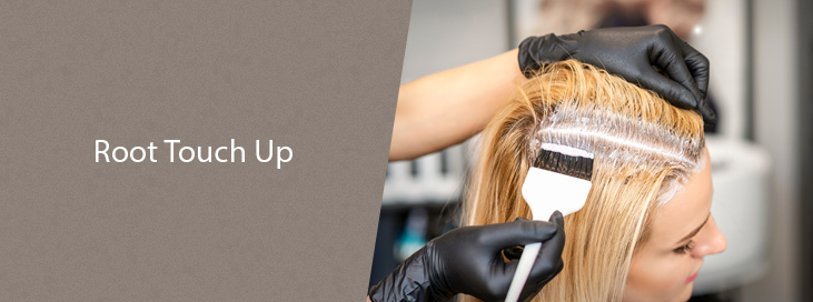 Root Touch Up