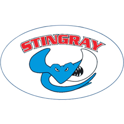 Stingray Spot Remover